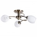 Потолочная люстра Arte Lamp Arya A2941PL-3AB - фото 4869764