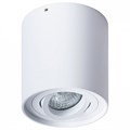 Накладной светильник Arte Lamp Falcon A5645PL-1WH - фото 4869791