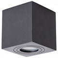 Накладной светильник Arte Lamp Galopin A1461PL-1BK - фото 4869813