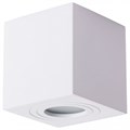 Накладной светильник Arte Lamp Galopin A1461PL-1WH - фото 4869816