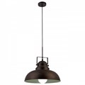 Подвесной светильник Arte Lamp Martin A5213SP-1BR - фото 4870044