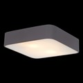 Накладной светильник Arte Lamp Cosmopolitan A7210PL-2BK - фото 4870105