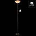 Торшер с подсветкой Arte Lamp Duetto A9569PN-2AB - фото 4870151 Торшер с подсветкой Arte Lamp Duetto A9569PN-2AB - фото 4870151