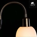 Торшер с подсветкой Arte Lamp Duetto A9569PN-2AB - фото 4870152 Торшер с подсветкой Arte Lamp Duetto A9569PN-2AB - фото 4870152