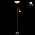 Торшер с подсветкой Arte Lamp Duetto A9569PN-2SS - фото 4870156 Торшер с подсветкой Arte Lamp Duetto A9569PN-2SS - фото 4870156