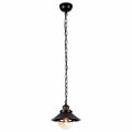 Подвесной светильник Arte Lamp Grazioso A4577SP-1CK - фото 4870280