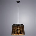 Подвесной светильник Arte Lamp Celesta A2769SP-1BK - фото 4870546