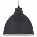 Подвесной светильник Arte Lamp Braccio A2055SP-1BK - фото 4870684