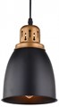 Подвесной светильник Arte Lamp Eurica A4248SP-1BK - фото 4870689