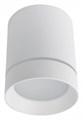 Накладной светильник Arte Lamp Elle A1949PL-1WH - фото 4870827
