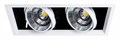 Встраиваемый светильник Arte Lamp Merga A8450PL-2WH - фото 4871106