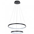 Подвесной светильник Arte Lamp Frodo A2197SP-2BK - фото 4871661