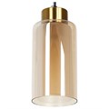 Подвесной светильник Arte Lamp Leo A7027SP-1BK - фото 4871728