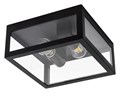 Накладной светильник Arte Lamp Belfast A4569PF-2BK - фото 4871939