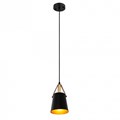 Подвесной светильник Arte Lamp Thomas A7032SP-1BK - фото 4872007
