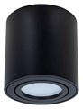 Накладной светильник Arte Lamp Beid A1513PL-1BK - фото 4872074