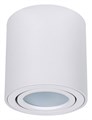 Накладной светильник Arte Lamp Beid A1513PL-1WH - фото 4872076