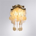 Накладной светильник Arte Lamp Pipirima A4065AP-2SG - фото 4872108