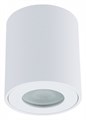 Накладной светильник Arte Lamp Tino A1469PL-1WH - фото 4872744