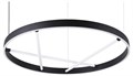 Подвесной светильник Arte Lamp Ricco A1874SP-32BK - фото 4872757
