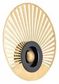 Накладной светильник Arte Lamp Biscotto A2641AP-1GO - фото 4872874