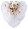 Накладной светильник Arte Lamp Kapri A4078AP-2GO - фото 4872949