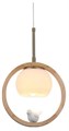 Подвесной светильник Arte Lamp Caprice A4182SP-1BR - фото 4873199