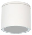 Накладной светильник Arte Lamp Piautos A1913PF-1WH - фото 4873357