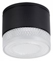 Накладной светильник Arte Lamp Piautos A1926PF-1BK - фото 4873358