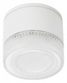 Накладной светильник Arte Lamp Piautos A1926PF-1WH - фото 4873359