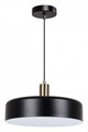 Подвесной светильник Arte Lamp Skat A7152SP-1BK - фото 4873491