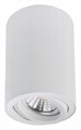 Накладной светильник Arte Lamp Sentry A1566PL-1WH - фото 4873611
