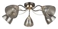 Потолочная люстра Arte Lamp Lily A4366PL-5BK - фото 4873889
