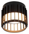 Накладной светильник Arte Lamp Atria A8031PL-1BK - фото 4874045