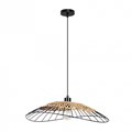 Подвесной светильник Arte Lamp Woodstock A7061SP-1BK - фото 4874090
