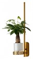 Бра Favourite Greenery 4050-1W - фото 4877066