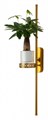 Бра Favourite Greenery 4050-2W - фото 4877076