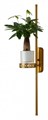 Бра Favourite Greenery 4050-2W - фото 4877084