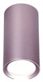 Накладной светильник Ambrella Light TN TN220 - фото 4880109