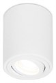 Накладной светильник Ambrella Light TN TN225 - фото 4880113