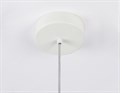 Подвесной светильник Ambrella Light TR TR5042 - фото 4880559