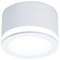 Накладной светильник Ambrella Light TN TN265 - фото 4881130