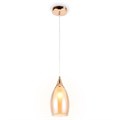 Подвесной светильник Ambrella Light TR TR3543 - фото 4881251