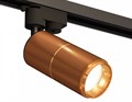 Светильник на штанге Ambrella Light XT XT6304010 - фото 4886067