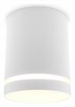 Накладной светильник Ambrella Light TN TN3202 - фото 4889606