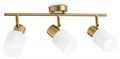 Спот Ambrella Light TR TR3972 - фото 4890143