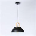 Подвесной светильник Ambrella Light TR TR8192 - фото 4891433