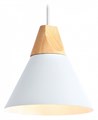Подвесной светильник Ambrella Light TR TR8195 - фото 4891436