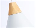 Подвесной светильник Ambrella Light TR TR8195 - фото 4891440