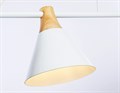 Подвесной светильник Ambrella Light TR TR8196 - фото 4891444